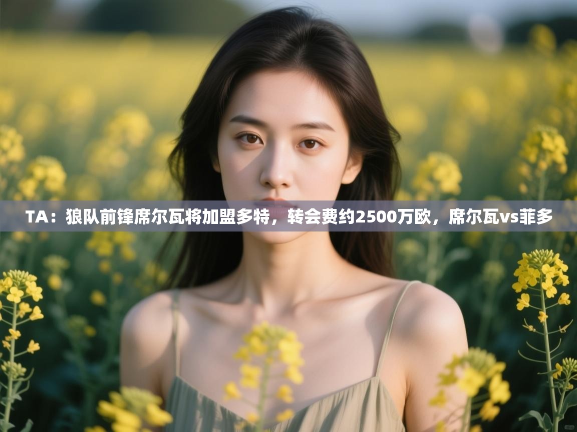 海星体育直播平台官网-TA：狼队前锋席尔瓦将加盟多特，转会费约2500万欧，席尔瓦vs菲多  第2张