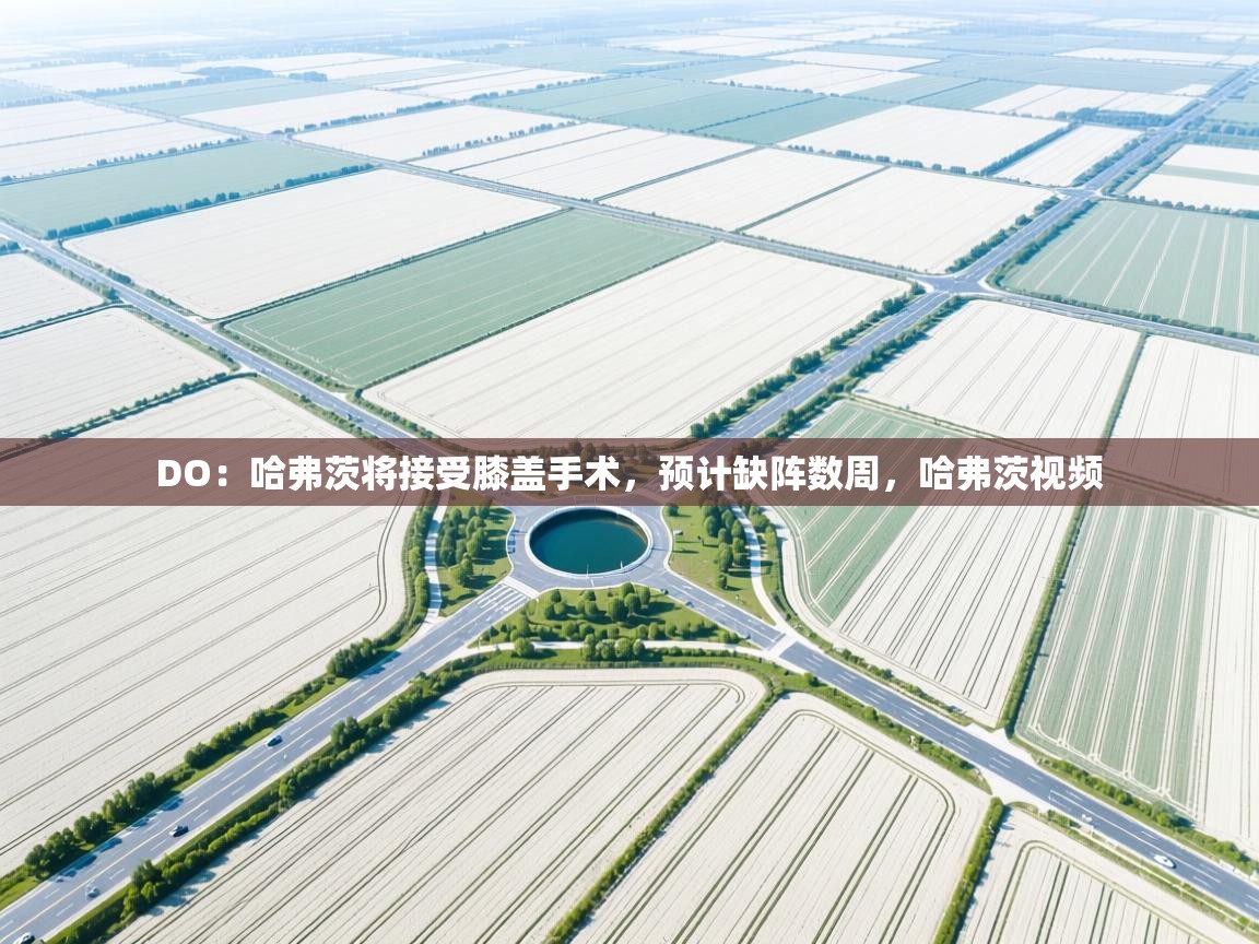 海星体育直播平台-DO：哈弗茨将接受膝盖手术，预计缺阵数周，哈弗茨视频  第2张