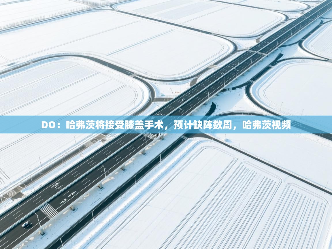 海星体育直播平台-DO：哈弗茨将接受膝盖手术，预计缺阵数周，哈弗茨视频  第3张