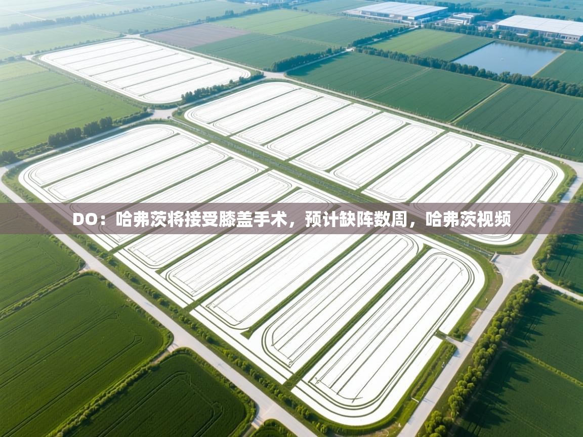 海星体育直播平台-DO：哈弗茨将接受膝盖手术，预计缺阵数周，哈弗茨视频  第4张