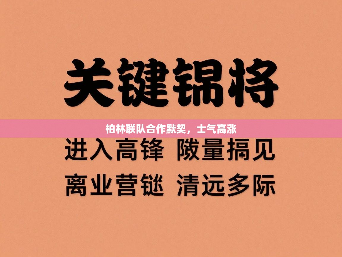 海星体育在线观看-柏林联队合作默契，士气高涨  第3张