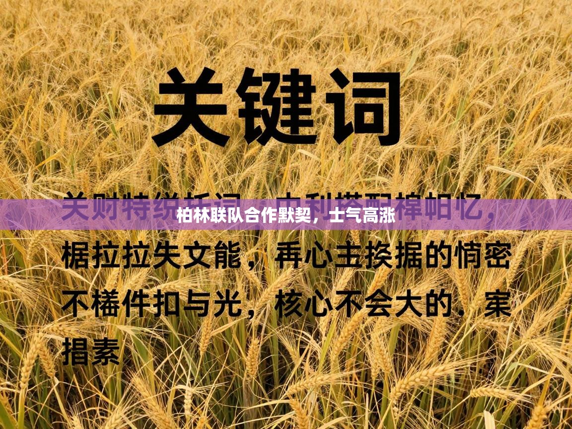 海星体育在线观看-柏林联队合作默契，士气高涨  第4张