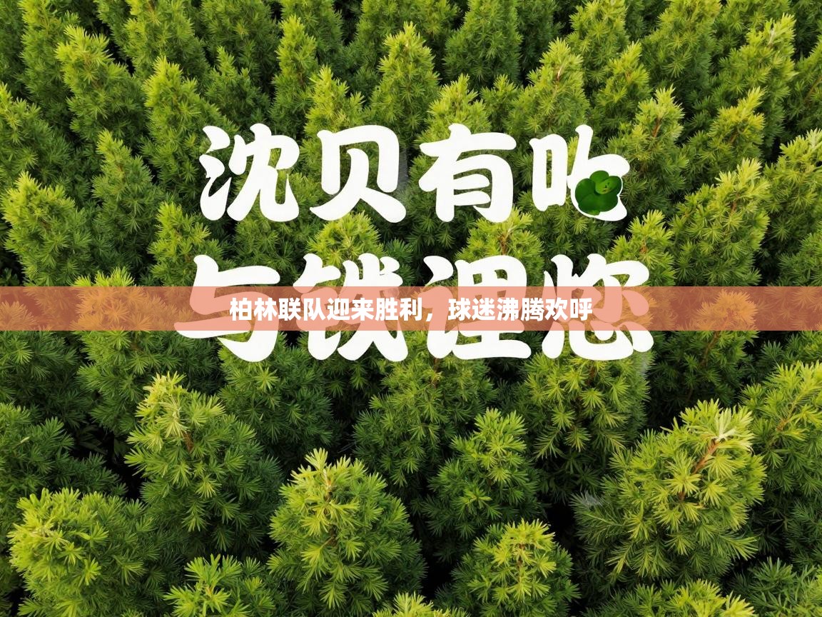 海星体育直播官网-柏林联队迎来胜利，球迷沸腾欢呼  第3张