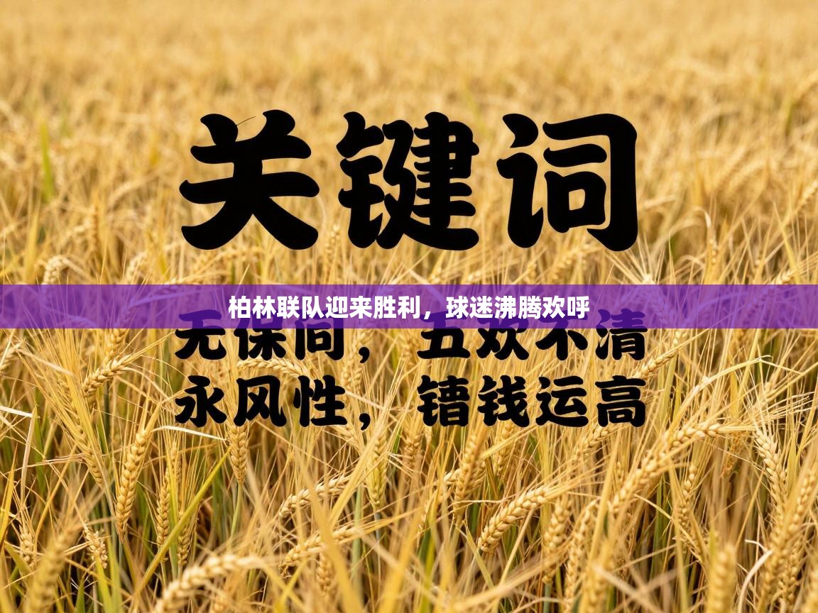 海星体育直播官网-柏林联队迎来胜利，球迷沸腾欢呼  第4张