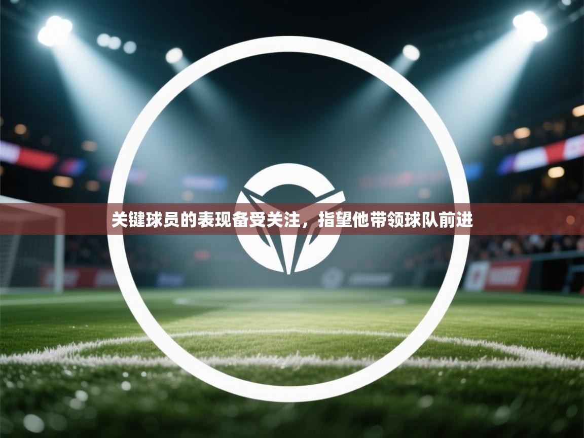 海星体育app官网下载-关键球员的表现备受关注，指望他带领球队前进  第1张