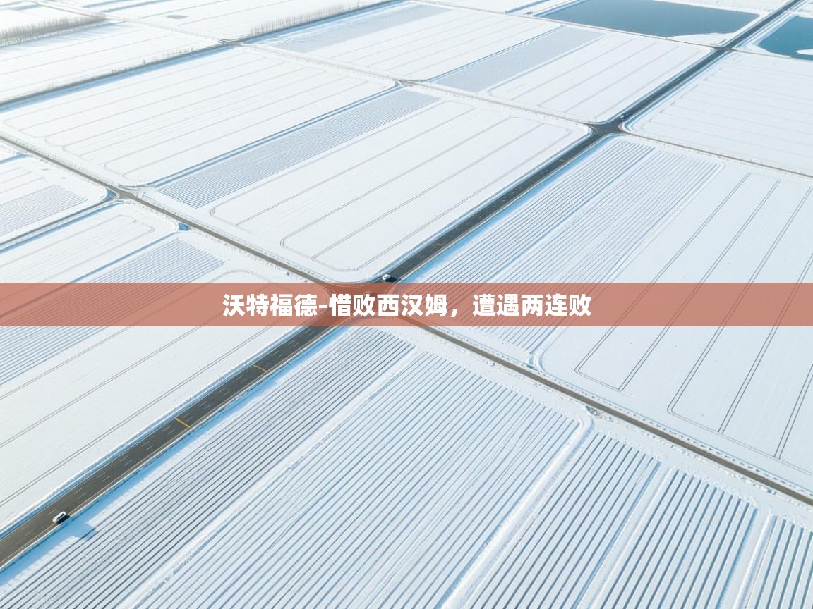 海星体育官网入口-沃特福德-惜败西汉姆,遭遇两连败 第4张