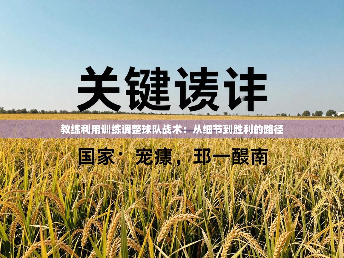 海星体育官网-教练利用训练调整球队战术：从细节到胜利的路径  第4张
